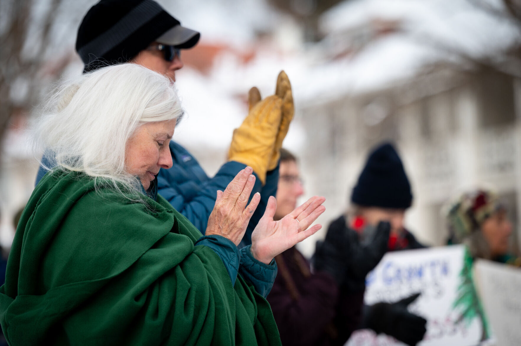 Old-growth forest rally-03.jpg
